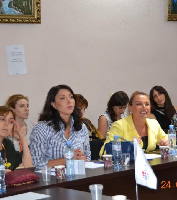 სამუშაო შეხვედრა