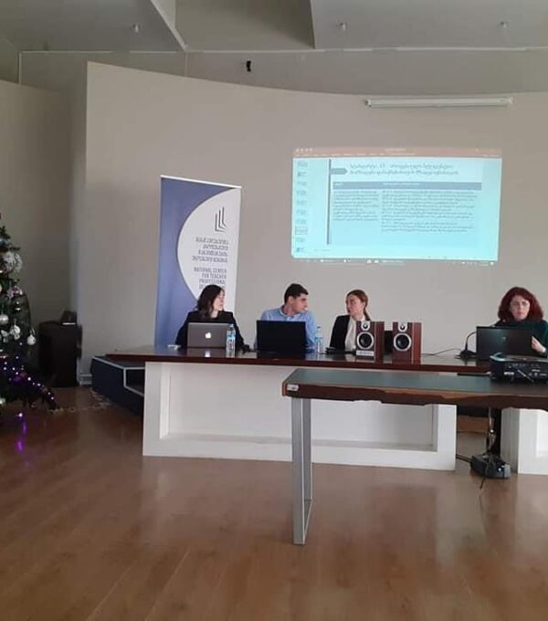 მასწავლებელთა კვალიფიკაციის ამაღლება პროფესიულ განათლებაში