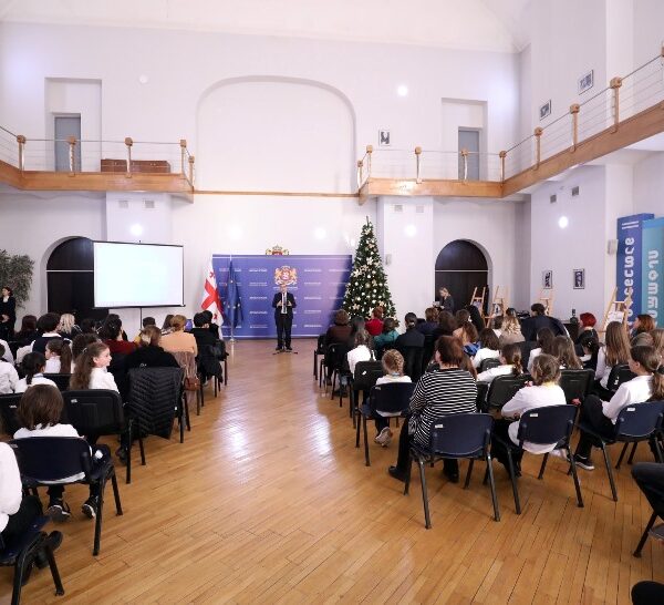 პროფესიული უნარების სააგენტოს საქმიანობის შემაჯამებელი ღონისძიება