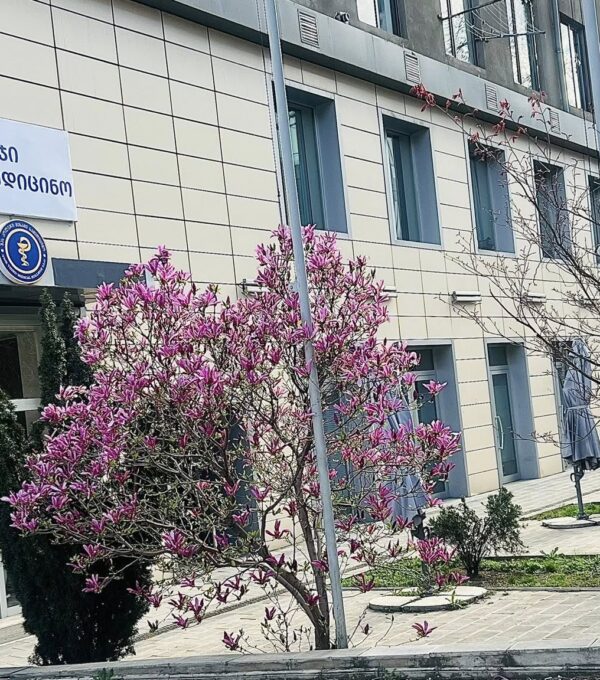 კოლეჯის განახლებული ინფრასტრუქტურა ახალ ლოკაციაზე