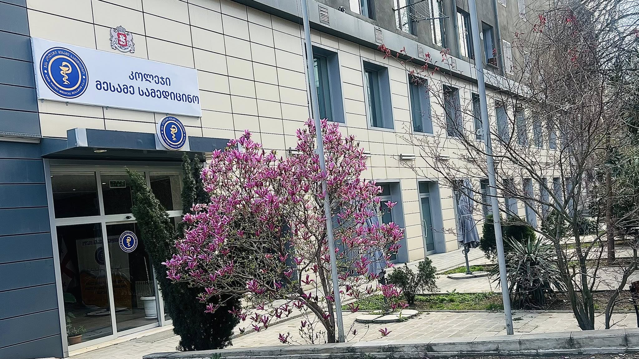 კოლეჯის განახლებული ინფრასტრუქტურა ახალ ლოკაციაზე